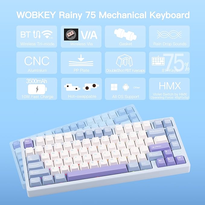 KEEBMONKEY WOBKEY Rainy 75 CNC Aluminum HMX/JWK/Cocoa Switches Triple-Mode Connectivity Mechanical Keyboard with Superior Acoustics RGB/PP/Gradient Glass/3500mAh/Violet Switch (Standard - Blue)