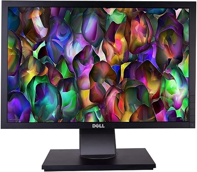 Dell P1911t 19 DVI/VGA Widescreen Rotating LCD Monitor 1440x900 w/ USB 2.0 (Renewed)
