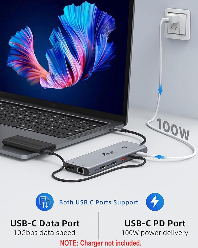 13 in 1 USB C Docking Station - Dual Monitor Triple Display 8 USB C/A Ports Ethernet Audio - LIONWEI USB C Hub for MacBookDellHPLenovoSurface