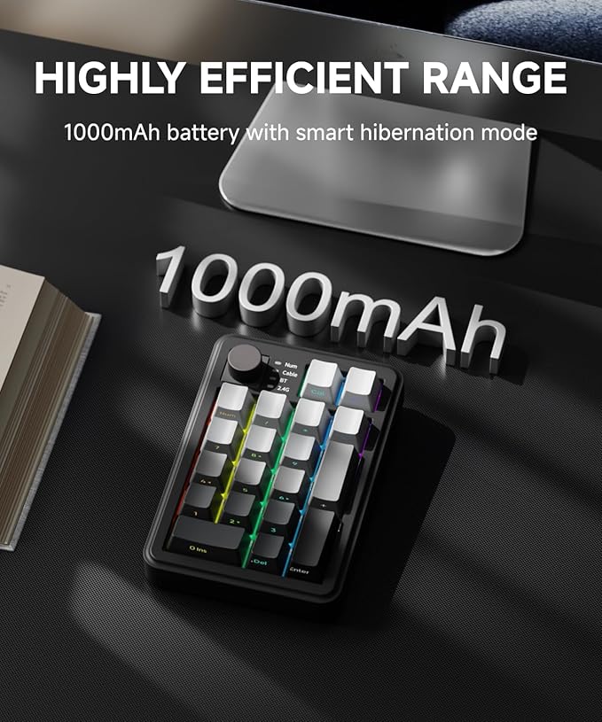 EWEADN NK20 Wireless Retro Mechanical Numpad with Knob Bluetooth/2.4GHz/USB-C Connect with RGB Backlight Hot Swappable Number Pad 20-Key Rechargeable External Num Pad for Win Mac Black Gray