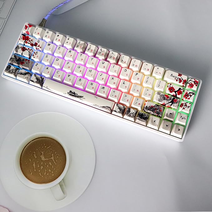 MOLGRIA GK68 68-Key RGB Backlit Gaming Keyboard with Plum Blossom Keycaps Hot Swappable Yellow Mechinery Switches Type C Wired Mechanical Keyboard for Win/Mac OS