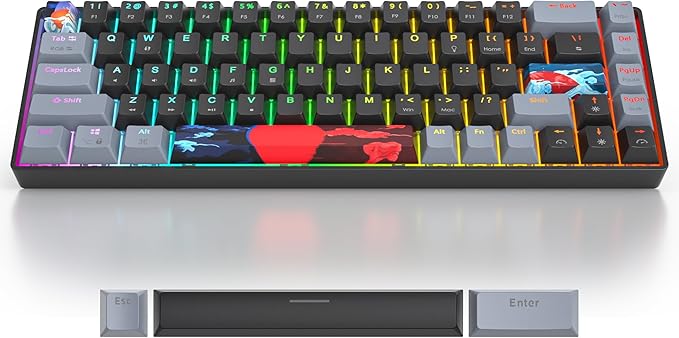 Black and Grey Mechanical Gaming Keyboard 65% 68 Keys Small Wired RGB Keyboard with PBT Keycaps Anti-Ghosting for Game/Office