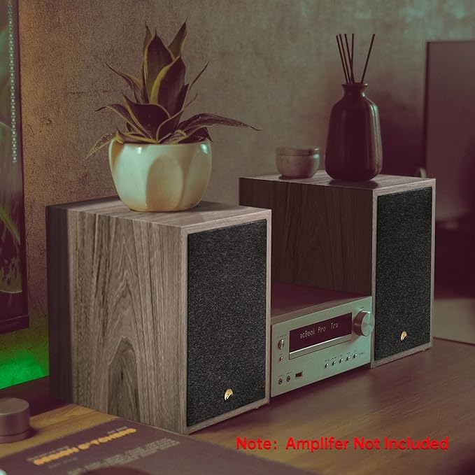 HiVi-Swans Oasis 140 Passive Speakers 2-Way HiFi Bookshelf Speakers for TV Desktop Stereo or Home Theater Surround Sound - Needs Amplifier or Receiver to Operate