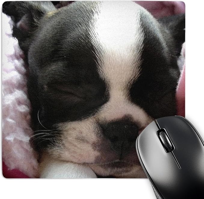 3dRose LLC 8 x 8 x 0.25 Inches Mouse Pad Boston Terrier Puppy (mp_22237_1)