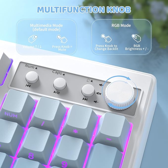 ZIYOU LANG K100 Wireless Gaming Keyboard99 Keys Tri-Mode BT/2.4GHz/USB-C Creamy Color Keyboard with Number Pad RGBMedia Knob Custom Programmable Computer Keyboards for PC/Mac/Xbox (Blue)