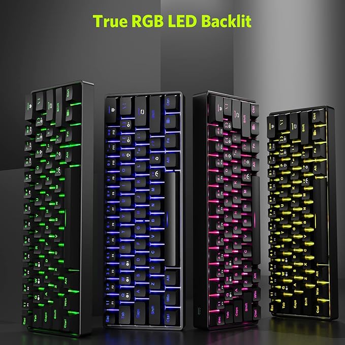 61 Keys RGB Wireless and Wired Mechanical Gaming Keyboard with Blue Switches Audible Click Sound Rainbow Portable Compact Mini Office Keyboard for Windows PC Gaming (F-SG61)