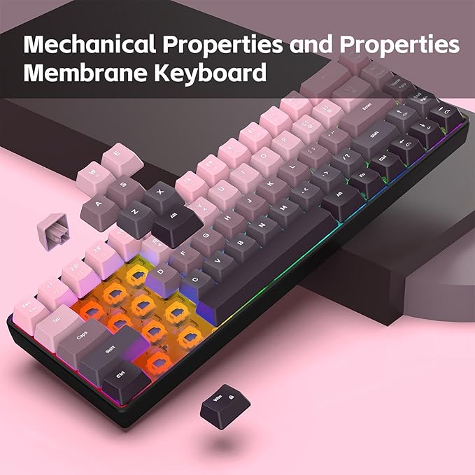 68 Keys Mechanical Gaming Keyboard Gradient Color Wired Keyboard with RGB Backlit &amp Multimedia Function ABS Injection Keycap Hot Swap Mechanical for PC (Gradient Pink)
