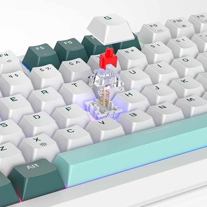 Owpkeenthy 75 Percent Gaming Keyboard Gasket Mounted 82 Key Wired Mechanical Keyboard Hot Swappable with Knob Linear Red Switch RGB Backlit for PC Laptop (Forest)