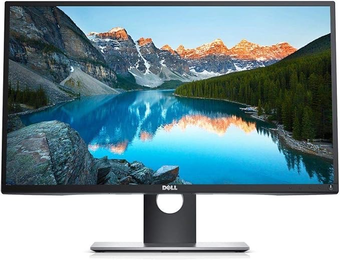 DELL P2417H-R Professional 23.8 Screen LED-Lit Monitor Black (Renewed)