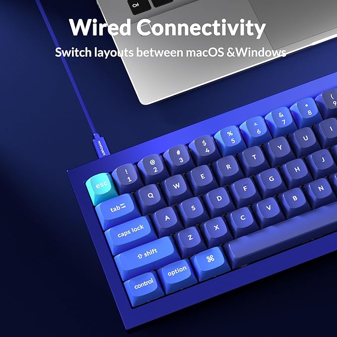 Keychron Q4 Wired Custom Mechanical Keyboard QMK/VIA Programmable Macro Full Aluminum Hot-Swappable Gateron G Pro Brown Switch 60% Layout Double Gasket Compatible with Mac and Windows - Blue