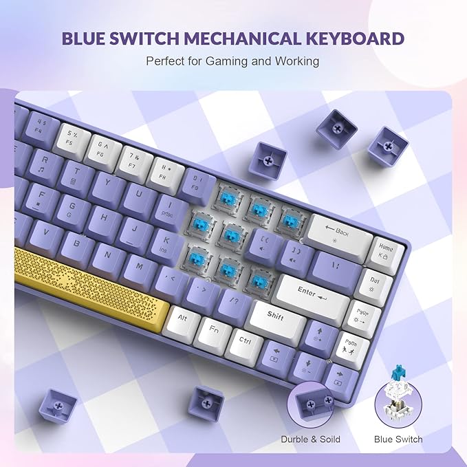 T8 60% Mechanical Gaming Keyboard68 Keys TKL Compact Layout Mini Wired Keyboard18 Chroma RGB BacklitBlue SwitchAnti-ghostingPro Custom Coiled USB-C Cablefor PCMacPS4Xbox-Purple