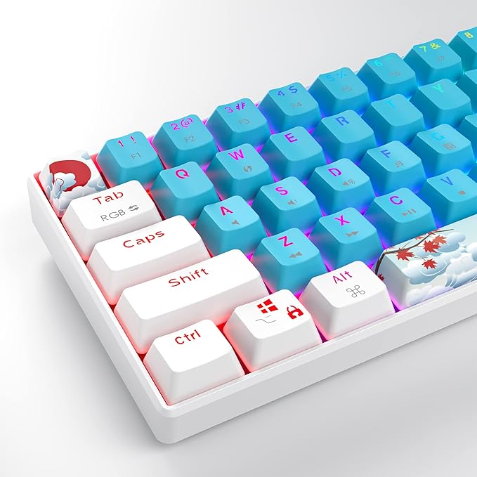 Fogruaden 60% Mechanical Keyboard 61 Keys Gaming Keyboard RGB Backlit Compact 60 Percent Wired Keyboard for Win/Mac PC Gamer Easy to Carry on Trip (BlueBlue Switch)