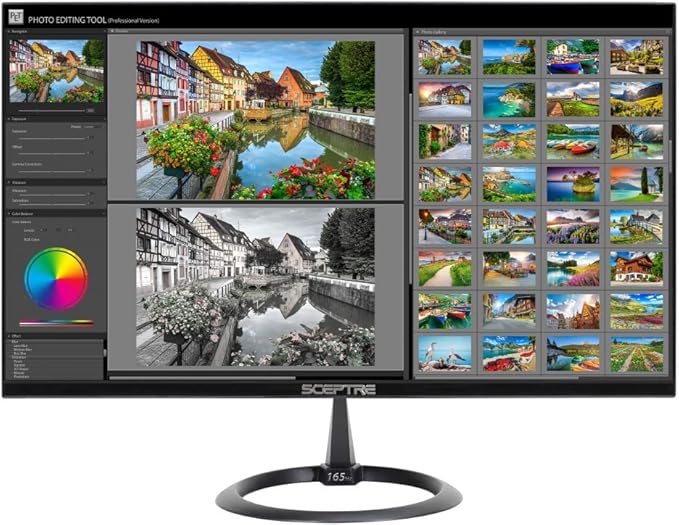 Sceptre 25 165Hz 144Hz 1ms Pro Slim LED Monitor AMD Freesync 2X HDMI 1X DisplayPort Build-In Speakers Metal Black 2019 (E258B-1658A)