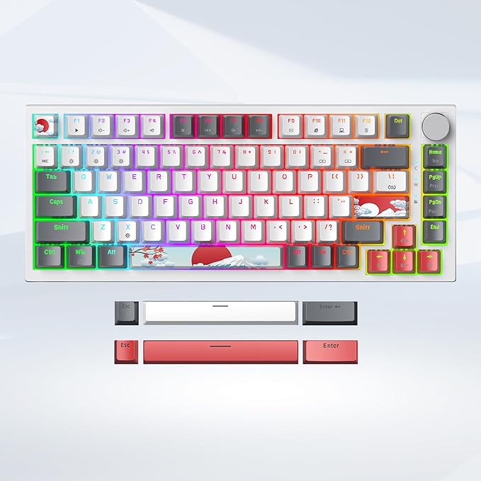 75 Percent Keyboard Gasket-Mounted with Sound Absorbing Pads 82-Key Compact Wired RGB Mechanical Gaming Keyboard Hot-Swap Socket for Win Gray White