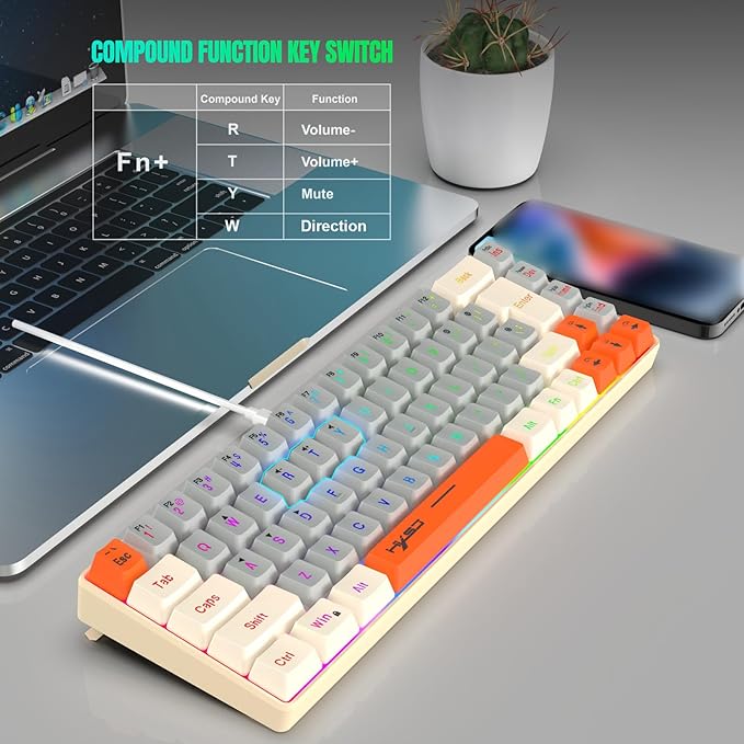 Docooler Wired Keyboard 68-Key RGB Gaming Keyboard 68 Keys Hot-Swap Compact Mechanical Keyboard Detachable Ty[e-C Keyboard for Gaming &amp Office Wired Computer Keyboard Ergonomic - Gray-White Ora