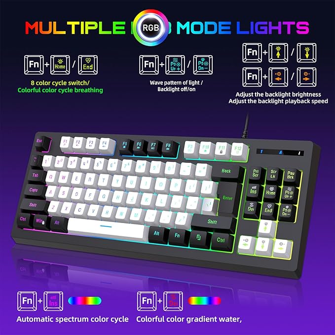 Vikye Compact 87 Keys Mechanical Keyboard with RGB Backlight Double Color for Gaming and Office (Black and White)