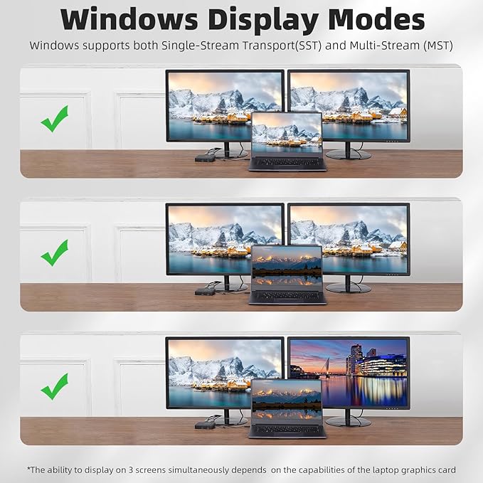 RVP+ USB C Docking Station Dual Monitor 6-in-1 100W Laptop-Charging DisplayPort Multi-Stream Transport (MST) Ethernet Compatible with Thunderbolt 3 Laptop (RVP-601)