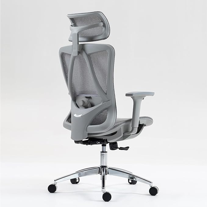 Ergonomic High Back Mesh Office Chair - Adjustable Lumbar Support Headrest &amp 3D Armrests Swivel Desk Chair for Home Office and Gaming (Gray Model C)