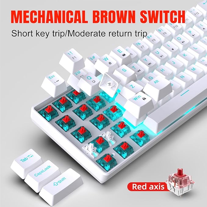 Bewinner 60% Gaming Mechanical Keyboard 68 Keys Compact Keyboard with Red Switches RGB LED Backlit Mechanical Keyboard for Laptop Tablet PC