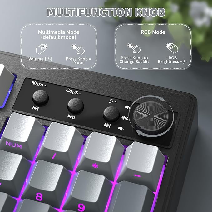 ZIYOU LANG K100 Wireless Gaming Keyboard99 Keys Tri-Mode BT/2.4GHz/USB-C Creamy Color Keyboard with Number Pad RGBMedia Knob Custom Programmable Computer Keyboards for PC/Mac/Xbox (Black)