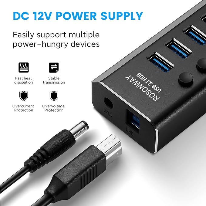 Powered USB Hub Rosonway 10 Port USB 3.1/3.2 Gen 2 Hub 10Gbps with 36W (12V/3A) Power Adapter Type A and Type C Cables Aluminum USB C Hub Splitter for PC and Laptop (RSH-A10S)