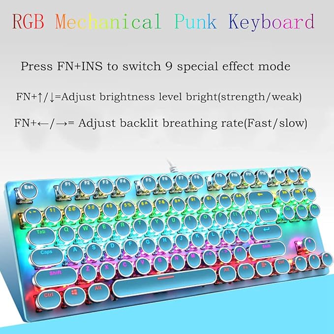 Mechanical Gaming Keyboard87 Key Retro Punk Typewriter-StyleBlue Switch Rainbow Backlit KeyboardAnti-Ghosting USB Wired for PC Laptop Desktop Computer for Game and Office(Blue)