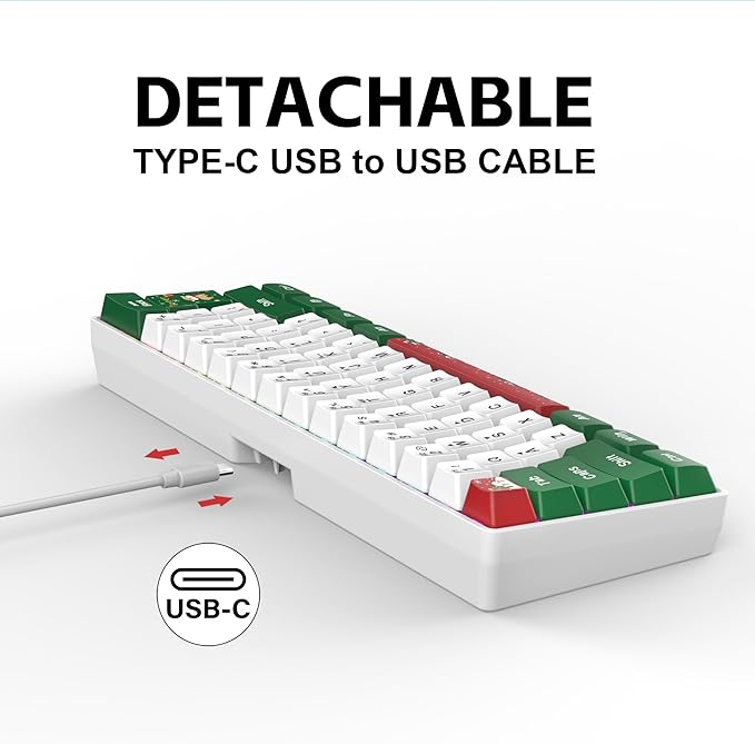 Snpurdiri 60% Wired Gaming Keyboard RGB Backlit Small Ultra-Compact 61 Keys 60 Percent Gaming Keyboard for PC/Mac Gamer Typist Travel Easy to Carry on Business Trip(Red Green White)