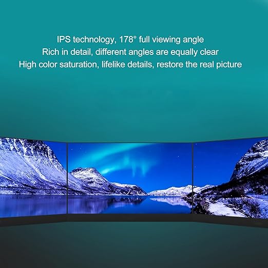 GOWENIC 13.3 Inch Portable Display 1080P FHD Portable Display for Laptop USB Type C External Second Screen with Dual Speaker HDR High Dynamic Range for for Laptop PC