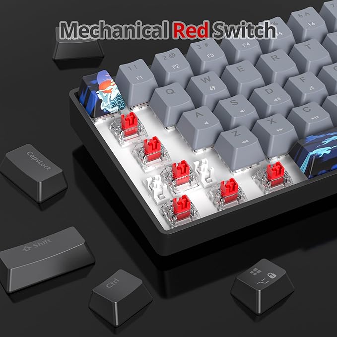 60% Mechanical Keyboard Black and Grey Compact Gaming RGB Backlit 61 Keys Mini USB Wired for Windows Mac Laptop PC (61 Dolch/Red Switches)