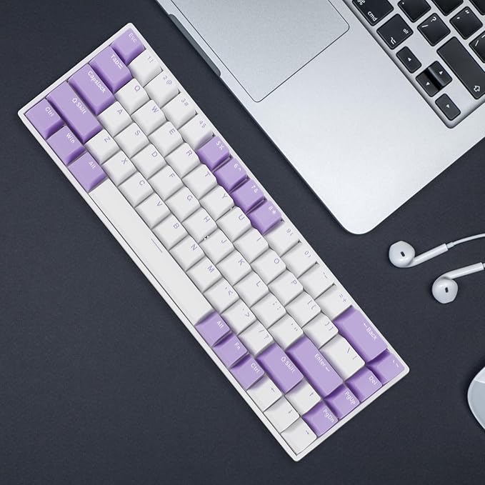Yoidesu Mechanical Keyboard USB C Wired Gaming Keyboard Blueberry Theme Keycap RGB Backlit 68 Keys Blue Switch Computer Keyboard for Wins 2000 ME for Vista