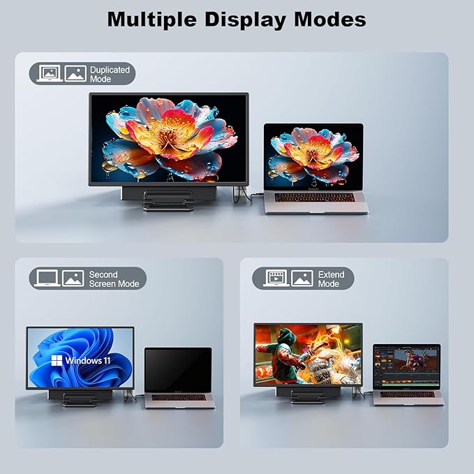 24 Large Portable Monitor 1080P FHD 100Hz Laptop Screen Extender 125% sRGB IPS Monitor Extender USB C HDMI Office Gaming with Detachable Stand Travel monitor for Window MAC Phone Xbox Switch