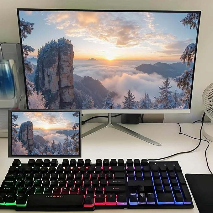 VSDISPLAY 10.1 Inch Portable LCD Monitor 1280x800 IPS Screen as Secondary Display for PC Case Computer Laptop