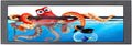 VSDISPLAY 14.9inch 1280x390 LCD Monitor VS149ZJ01which with Screen LTA149B780F and DVI VGA Input Controller Board 68676 as a bar Display Monitor/Advertising Screen
