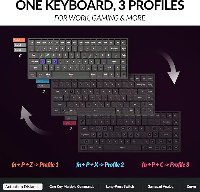 Keychron K2 HE Rapid Trigger Wireless Custom Keyboard with Hall Effect Gateron Double-Rail Magnetic Switch 2.4 GHz QMK Bluetooth 5.2 RGB Compatible with Mac Windows Linux (Aluminum + Wood)
