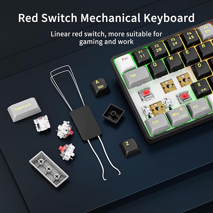 Newmen GM681 Mechanical Keyboard68 Keys Compact USB 60% Custom LED Backlit Hot Swappable Small Mini Computer Gaming Mechanical Wired Keyboard for PC Gamer Win MacBlack/White/GreyRed Switch
