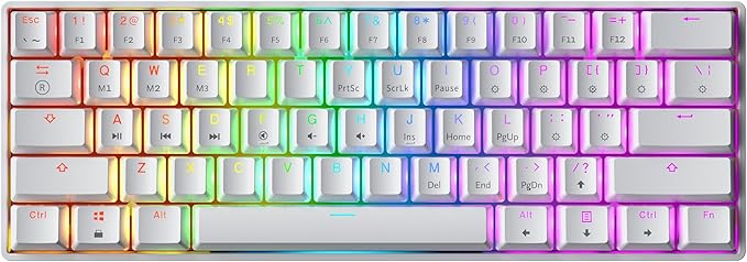 Mechanical Gaming Keyboard - 61 Keys Multi Color RGB Illuminated LED Backlit Wired Programmable for PC/Mac Gamer (Gateron Mechanical Black White)