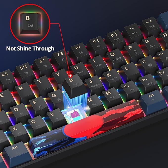 60 Percent Gaming Keyboard Mechanical with Linear Red Switch 60% Wired Ultra-Compact Mini Keyboard Rainbow with PBT Keycaps for Ps4/Ps5/Xbox(61 Blue)