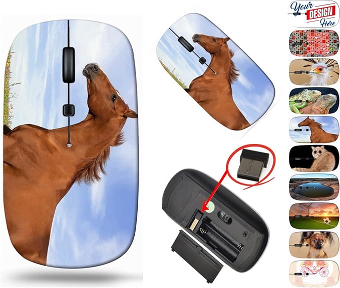 maizi Laptop Mouse Wireless for Chromebook Laptop PC NotebookLaptop Mouses Wireless Image ID: 27572854 Russian Don Horse Running Through th Portable 2.4G USB Receiver Printed in USA