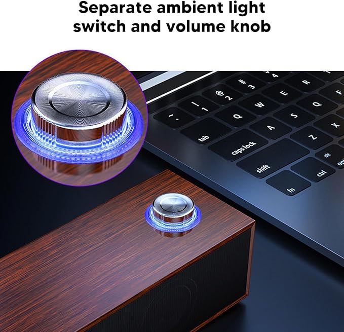 Vikye Computer Speakers HiFi Stereo Sound Desktop Speakers with USB Cable with Jack and 3.5mm AUX Headphone Jack Auxiliary Input for PC