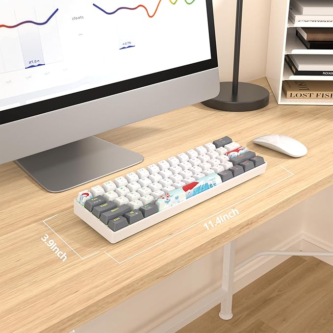 Fogruaden 60% Percent Mechanical Keyboard RGB Gaming Keyboard 60 Percent Ultra-Compact 61Keys Mini Wired Keyboard with Red Switch for Win/Mac PC Gamer(WhiteGrey Red Switch)
