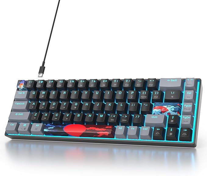 65 Percent Gaming Keyboard 68 Keys Mechanical Keyboard LED Backlit Ultra Compact Wired Key Board with Red Switch for Windows Laptop Gamer