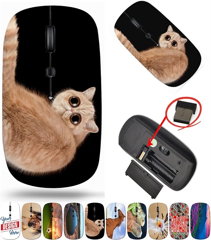 maizi Mouse Wireless for Mac Laptop PC Chromebook Mouses Wireless Image ID: 26227899 Funny Surprised cat Exotic Domestic 2.4G Lightweight with USB Receiver Printed in USA