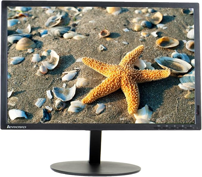 Lenovo ThinkVision T2254p LED Backlit 22 inch Anti-Glare Monitor VGA HDMI Display Port 5ms Response Time 16.7 Million Colors 170 Degree Viewing Angle 1050p at 60 Hz (Renewed)
