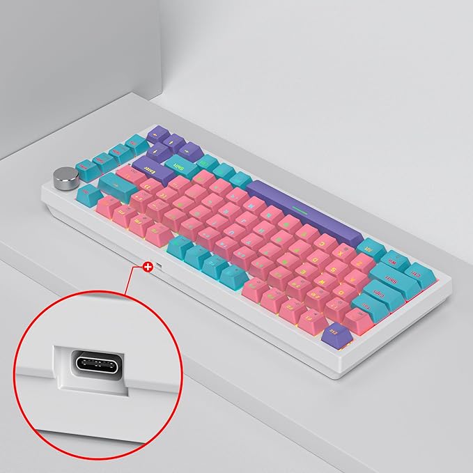 75 Percent Pink Keyboard Gasket-Mounted with Sound Absorbing Pads and Pbt Keycaps 82-Key Compact Wired RGB Mechanical Gaming Keyboard Hot-Swap Socket for Win Miami Theme Pink