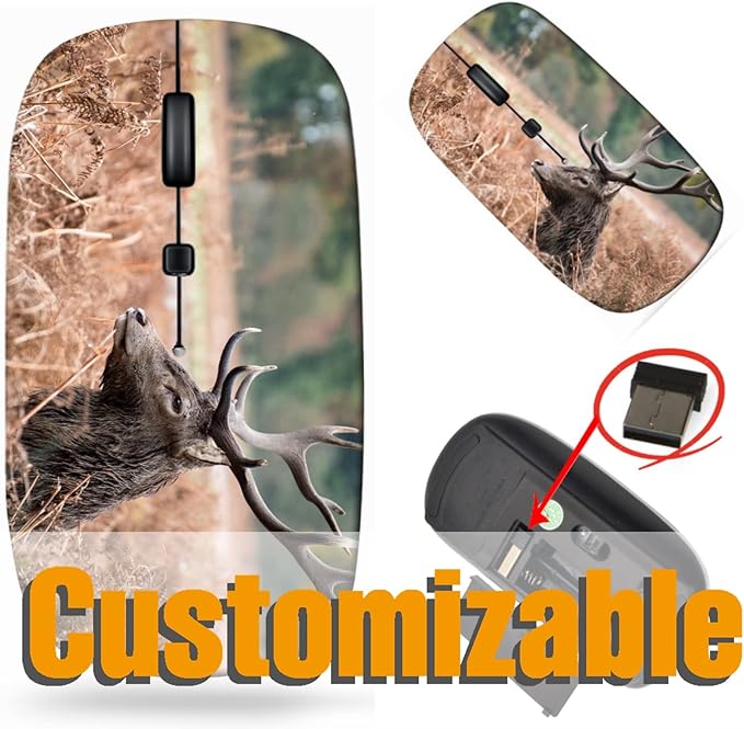 maizi Wireless Mouse Battery Powered for Computer Chromebook Notebook Wireless Mice Battery Powered Image ID: 24548646 Red Deer stag During Travel Mouse 2.4G USB Receiver Printed in USA