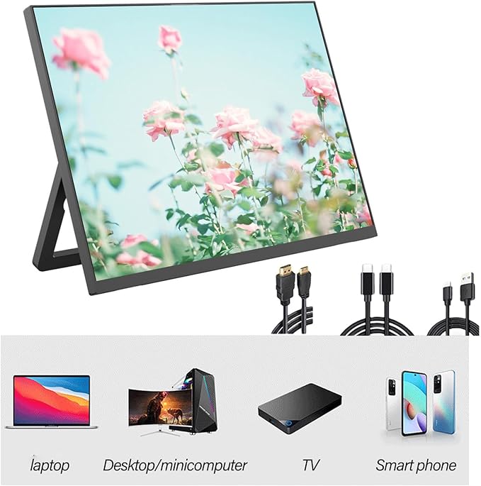 13.5Inch 2256x1504 Resolution Portable Display Monitors for Switches/XSS with Eye Protections Screen Single Rod
