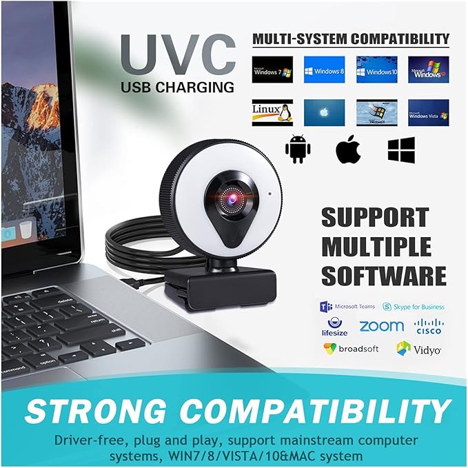Webcam 4K 2K 1080P with Microphone Auto Focus Web Camera 3 Grades Ring Light Beautify Lighting Video for Live Broadcast Web Cam Ultra High Definition (Color : 4K) (2k)