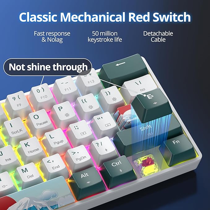 surmen Wireless Keyboard 60% Gaming Keyboard 60 Percent Hot Swappable RGB Mini Bluetooth BT5.0/USB-C Mechanical Keyboard with Software for Windows Mac Laptop (Gateron Red Green 61)