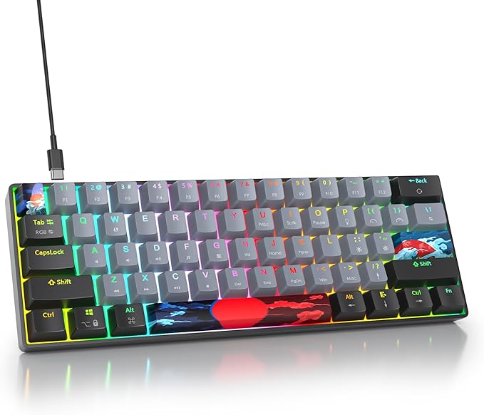 60 Percent Gaming Keyboard Portable Wired Mechanical Keyboard Ultra Compact Keyboard RGB Backlit Red Switch for Windows PC Laptop Gamers(61 Dolch)