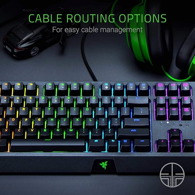 Razer BlackWidow Mechanical Gaming Keyboard: Green Mechanical Switches Tactile &amp Clicky Chroma RGB Lighting Anti-Ghosting Programmable Macro Functionality